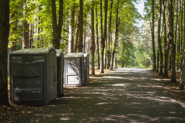 Best Affordable portable toilet rental  in Crested Butte, CO